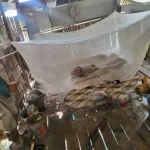 รูปภาพ19