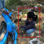 รูปภาพ34