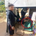 รูปภาพ52