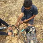 รูปภาพ76